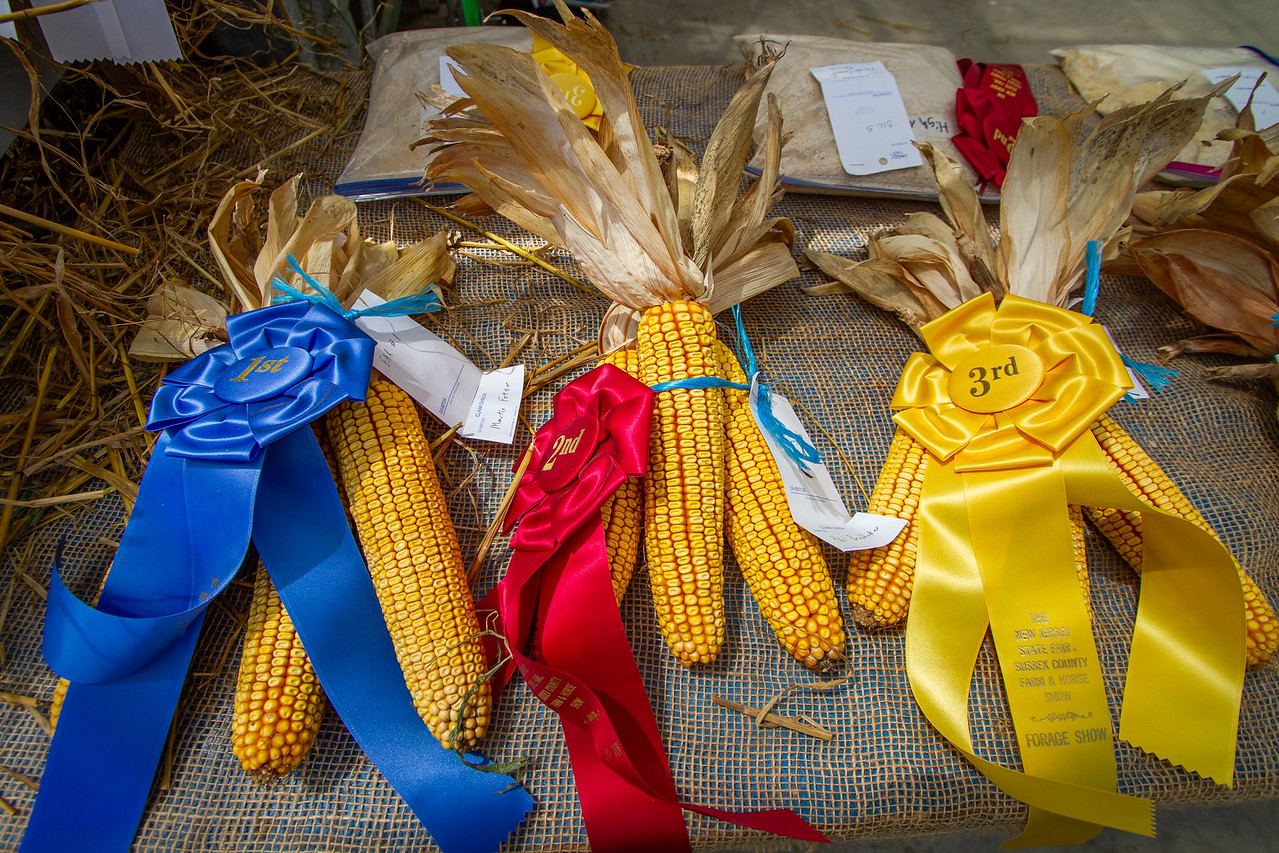 Tradition of State Fairs: From 1841 to Today