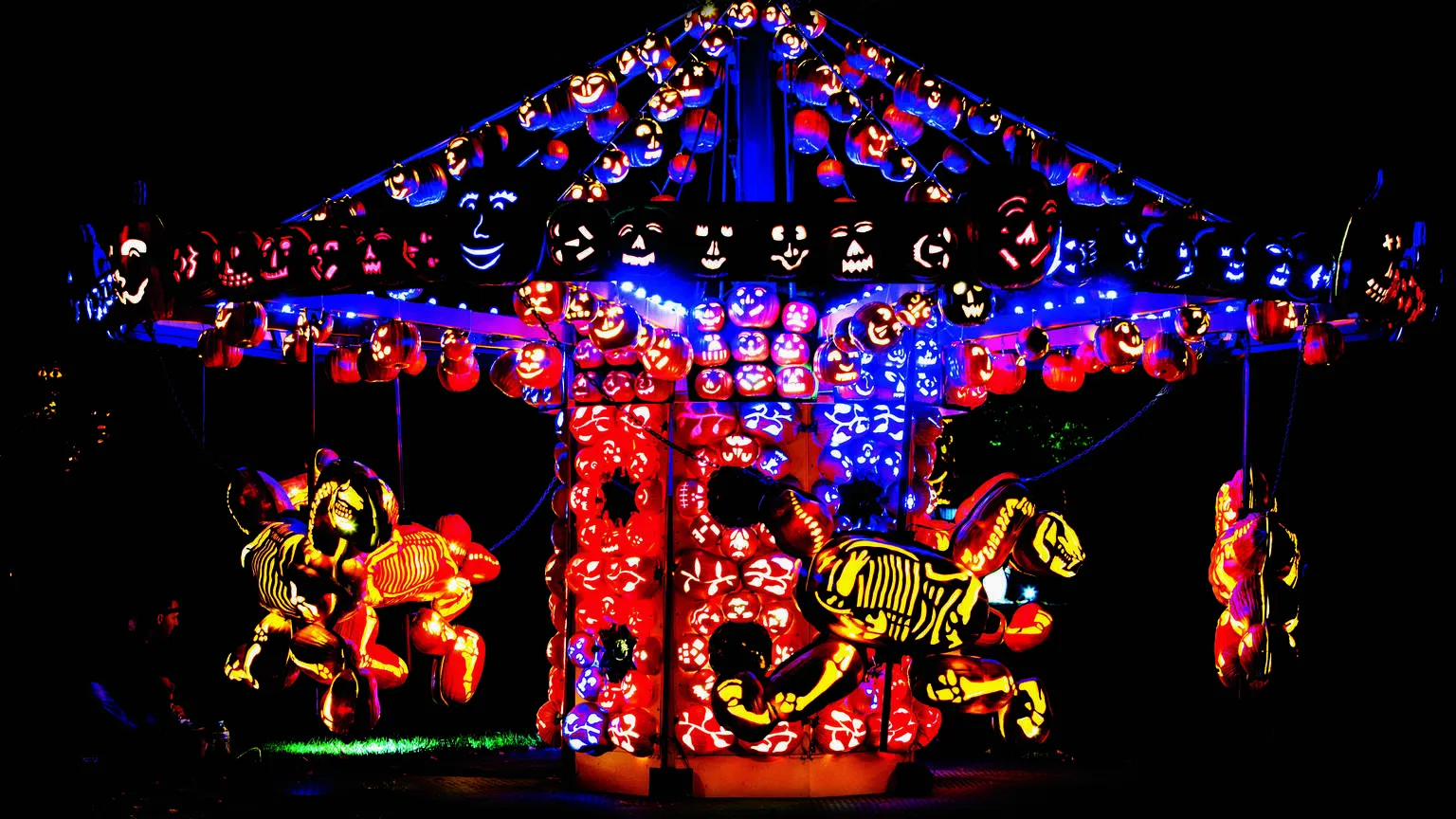 The Great Jack-O-Lantern Blaze: An Artistic Marvel and Seasonal Spectacle