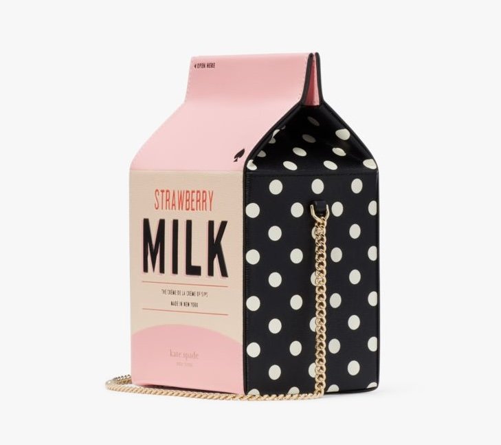 The Kate Spade Milk Carton Printed Crossbody