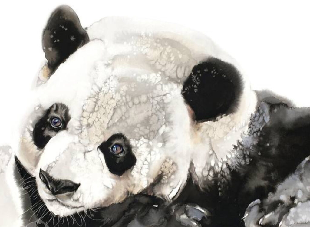 A minimalist ink painting of a serene panda by Soo Beng Lim, featuring delicate brushstrokes and balanced negative space.