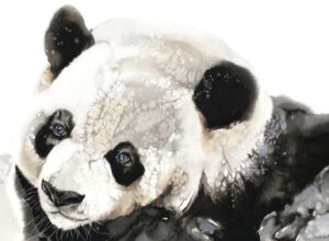 A minimalist ink painting of a serene panda by Soo Beng Lim, featuring delicate brushstrokes and balanced negative space.