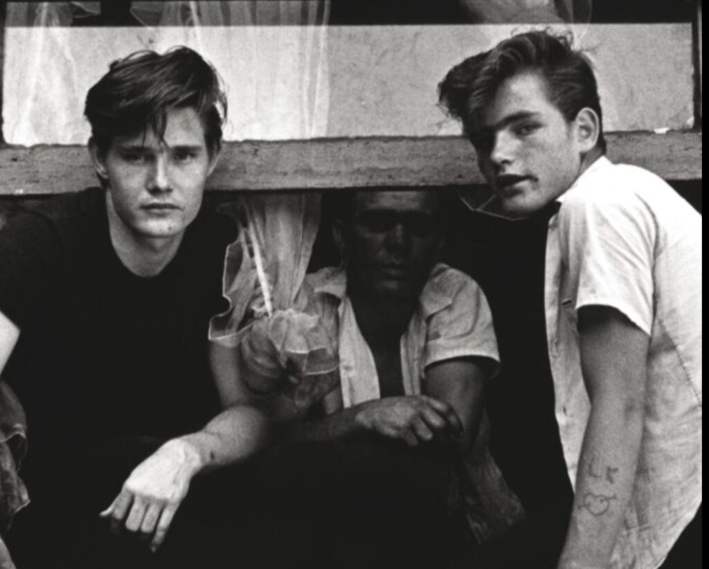 Cover of The Outsiders novel with an illustration of Ponyboy Curtis, symbolizing the story’s themes of identity and class struggle