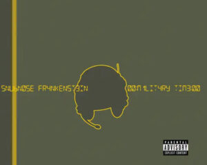 Album cover of Military Time by Snubnose Frankenstein, featuring bold typography and a dark, atmospheric design