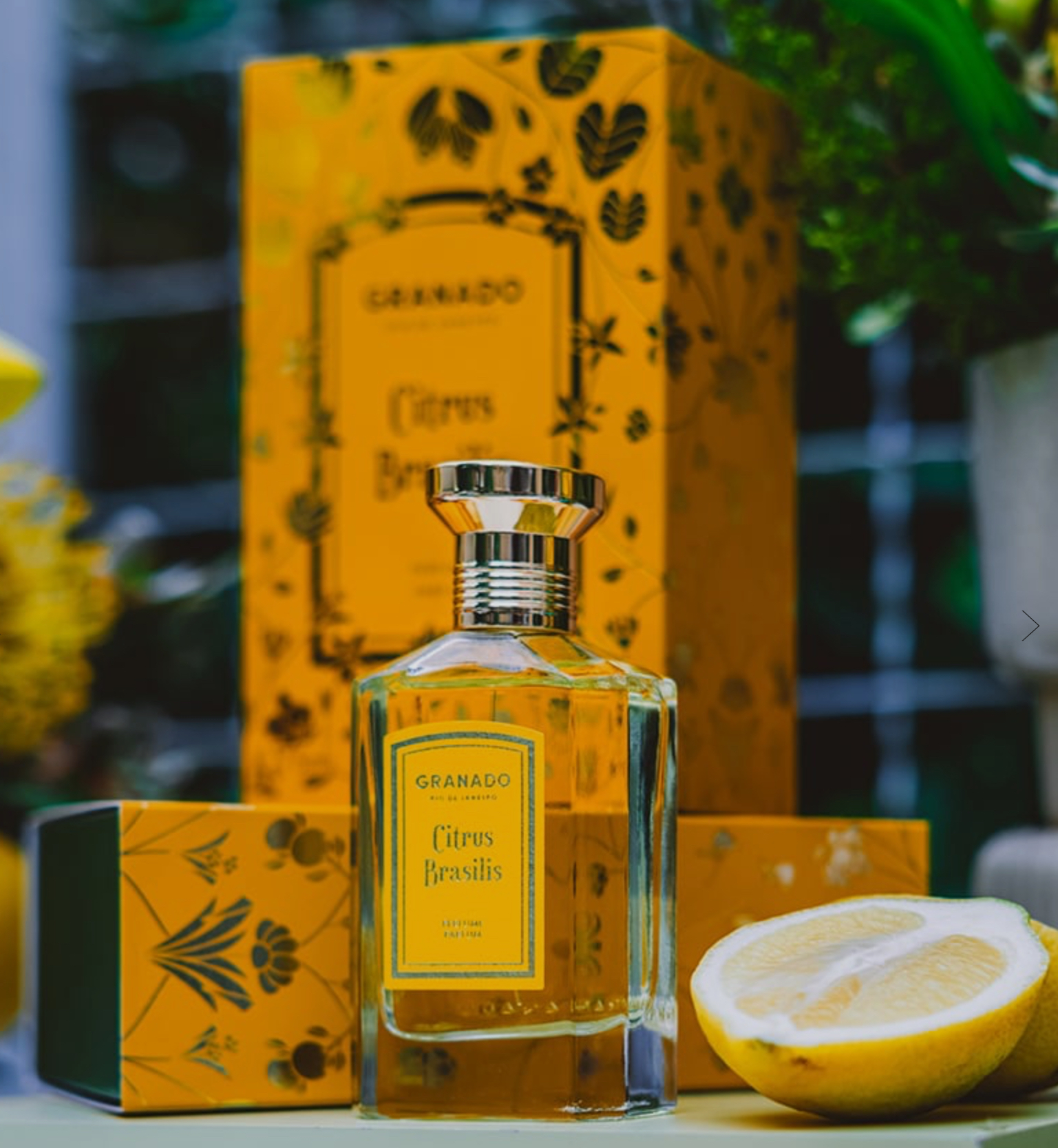 Granado x Guimarães Rosa Institute x Institut Français: ABERTO IV Reimagines Brazilian Art Through the Lens of Le Corbusier