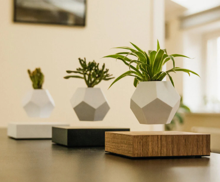 Levitating plant pot with geometric silicon design hovering above an oak base, showcasing LYFE by FLYTE in a modern setting