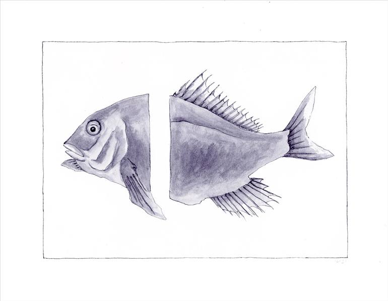 Marianne Hendriks’s "Cut Fish Drawing" showcasing a dissected fish in minimalist Dutch line art style
