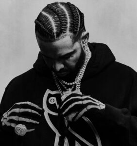 Black-and-white portrait of Drake wearing a hoodie featuring the OVO owl logo. He looks down, adjusting layered diamond chains, with his hair styled in tight braids and gloved hands featuring skeletal bone patterns. The image conveys confidence, craftsmanship, and the refined streetwear aesthetic associated with the OVO brand.
