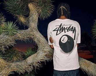 Model wearing a white Stüssy T-shirt with the brand’s bold black logo and a large graphic print on the back, standing outdoors beside a Joshua tree at dusk, blending natural desert scenery with signature streetwear style.
