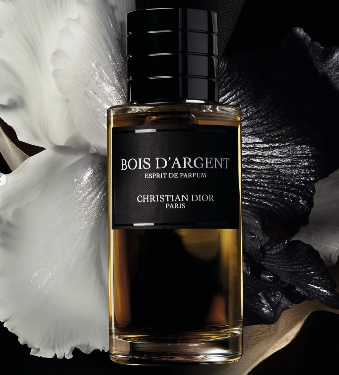 Christian Dior’s Bois d’Argent Esprit de Parfum: A Radical Reimagining of an Icon
