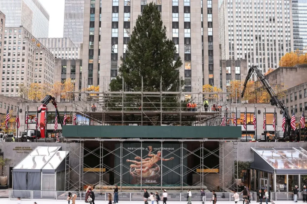 The 2025 Rockefeller Center Christmas Tree being installed at Rockefeller Plaza, surrounded by scaffolding and cranes, with workers preparing the 75-foot Norway spruce from East Greenbush, NY